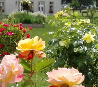 3e Marché aux plantes « Baptême de la Rose »